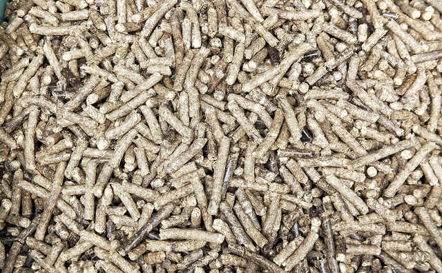 生物質(zhì)燃料 生物質(zhì)燃料