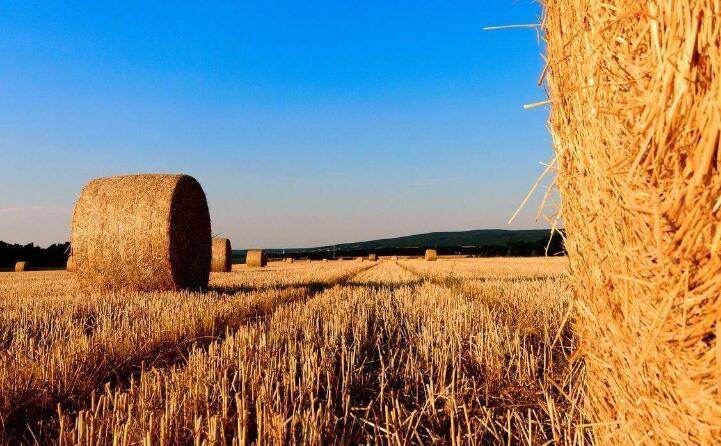 農作物秸稈 農作物秸稈