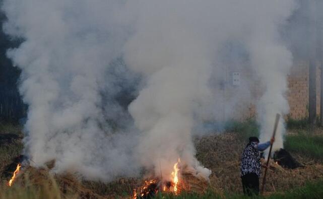大量的農(nóng)作物秸稈怎么處理？