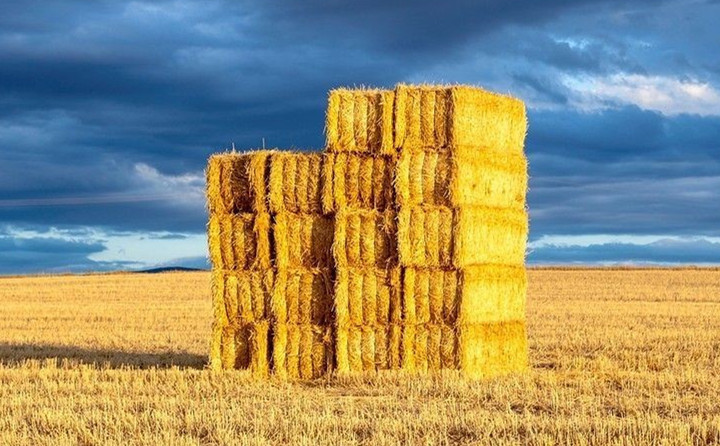 環(huán)境治理 成效明顯