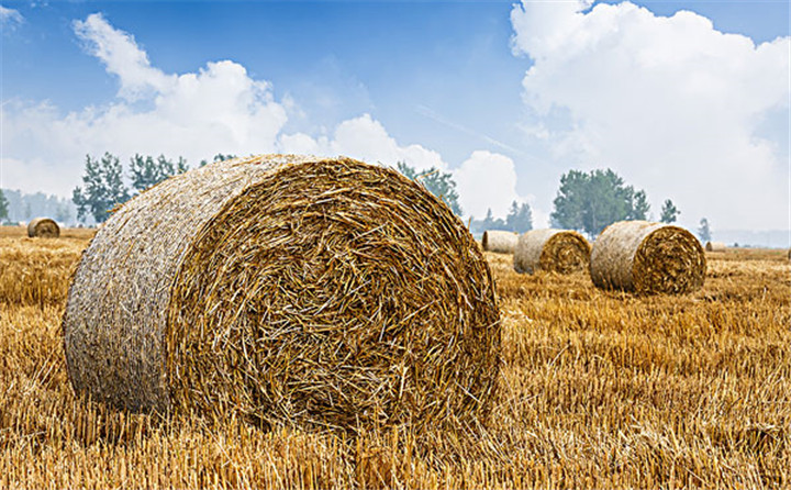  每一臺穩(wěn)定可靠的玉米秸稈顆粒機背后，是一個優(yōu)秀負責任的顆粒機廠家！