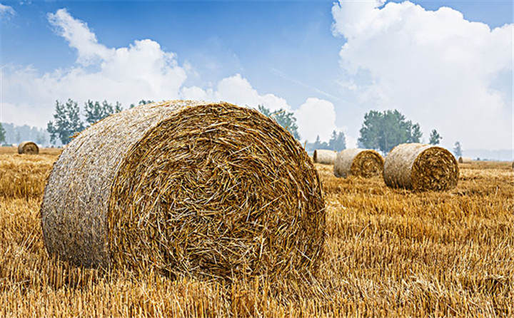 玉米秸稈顆粒機的壓縮，天然就能成型，而起會很結(jié)實