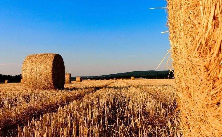稻殼的新出路---秸稈顆粒機(jī)之燃料顆粒 稻殼的新出路---秸稈顆粒機(jī)之燃料顆粒