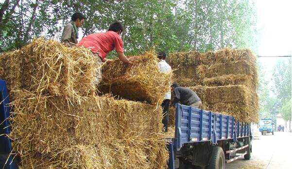 每年秋收過后，到轉(zhuǎn)年春耕，是秸稈處理的關(guān)鍵期