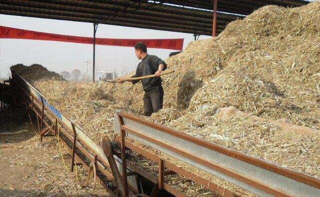 蕪湖大力推進秸稈能源化利用