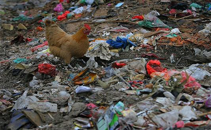 農(nóng)村垃圾廢棄物 農(nóng)村垃圾廢棄物