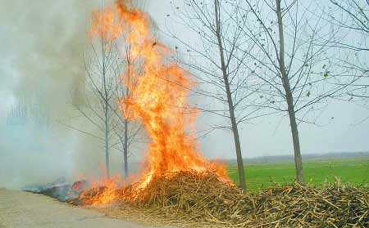 秸稈焚燒造成濃煙漫天