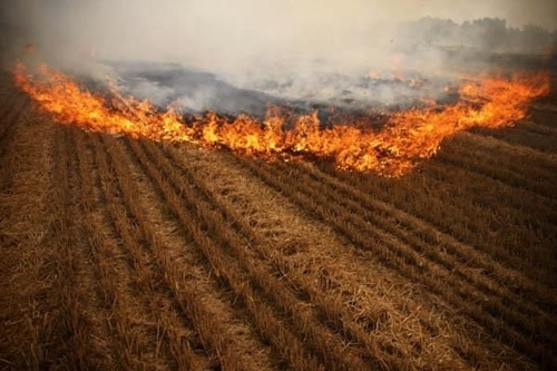 秸稈焚燒造成環(huán)境污染 秸稈焚燒造成環(huán)境污染