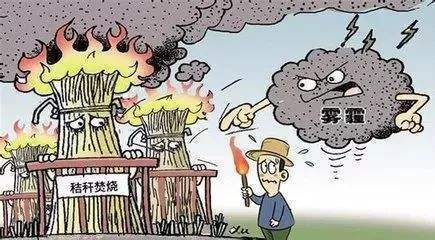 秸稈焚燒產(chǎn)生危害
