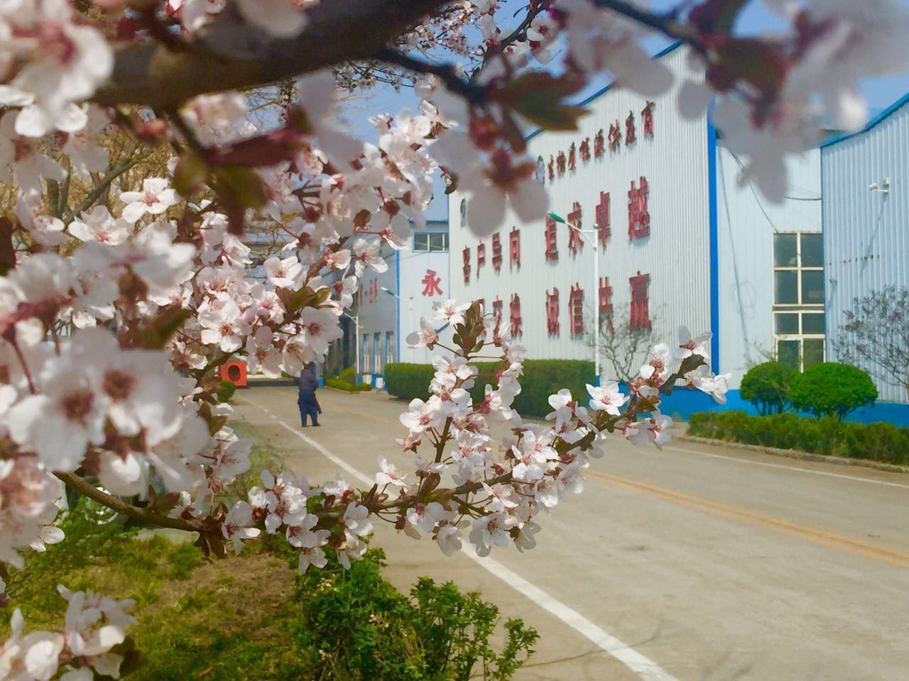 金格瑞顆粒機廠家