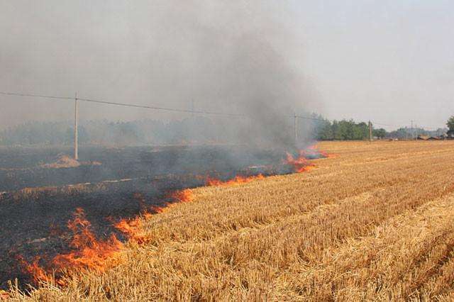 秸稈焚燒污染環(huán)境百害無一利