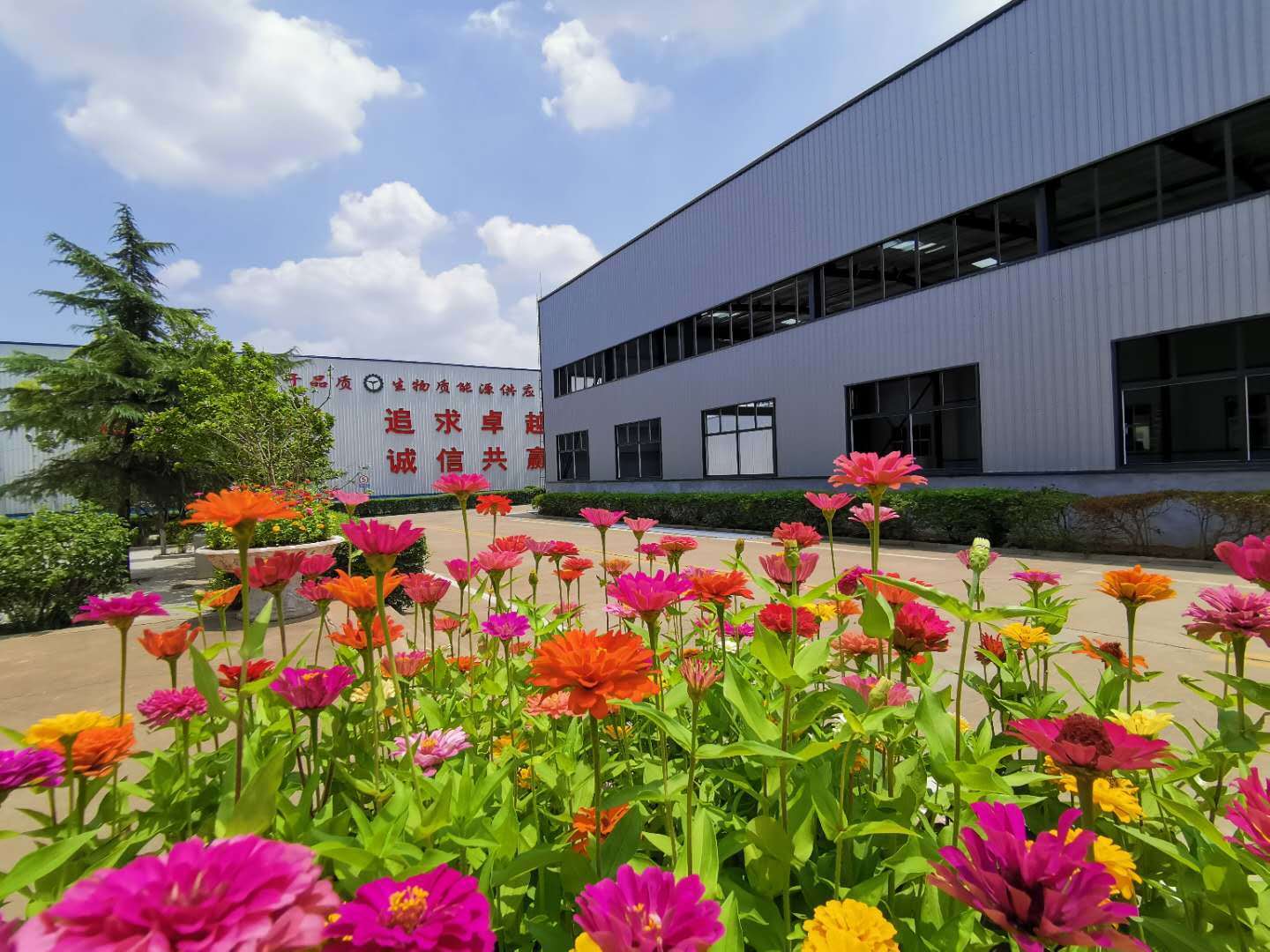 秸稈顆粒機(jī)生產(chǎn)廠家 秸稈顆粒機(jī)生產(chǎn)廠家