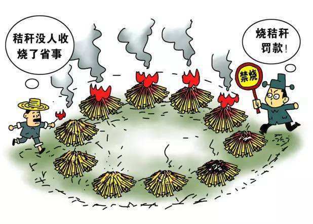 秸稈焚燒屢禁不止 秸稈焚燒屢禁不止