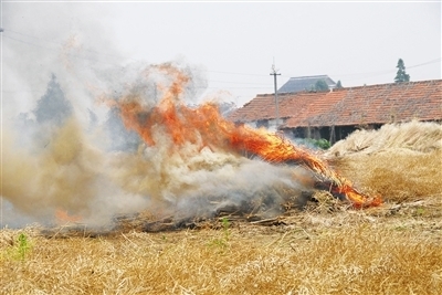 大量秸稈無(wú)處堆放被焚燒 大量秸稈無(wú)處堆放被焚燒
