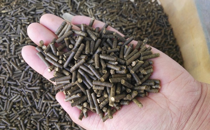 秸稈制粒機(jī)加工的生物質(zhì)顆粒