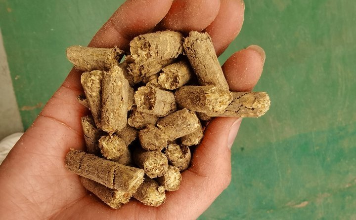 秸稈顆粒機(jī)秸稈燃料化利用