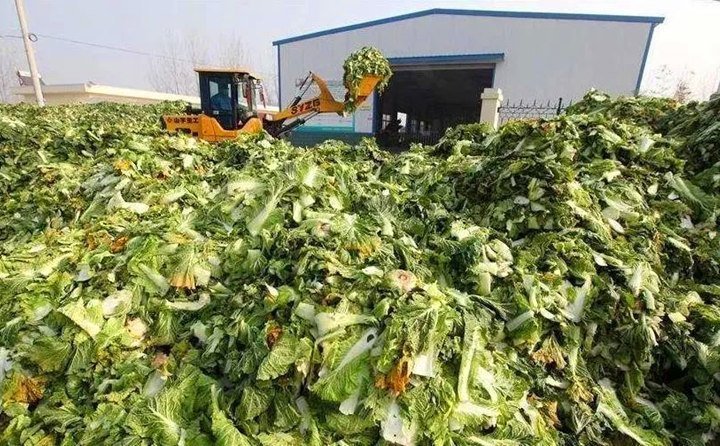 臨澤有招,變廢為寶,實現(xiàn)了秸稈、尾菜、畜禽糞便等廢棄物的“飼料化、菌料化、肥料化、燃料化”