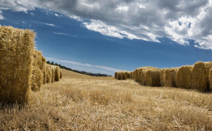 南昌縣廣福鎮(zhèn)助力秸稈循環(huán)利用 變廢為寶 實(shí)現(xiàn)三贏(yíng)