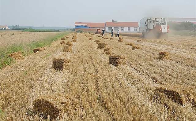 9月11日，湖北省武漢市生態(tài)環(huán)境局新洲區(qū)分局秸稈禁燒智能視頻監(jiān)控系統(tǒng)終端大屏上，72個(gè)高清攝像頭實(shí)時(shí)拍攝的畫面里，一旦有秸稈露天焚燒或者煙霧，就會有“嘀嘀嘀”的報(bào)警聲響起。