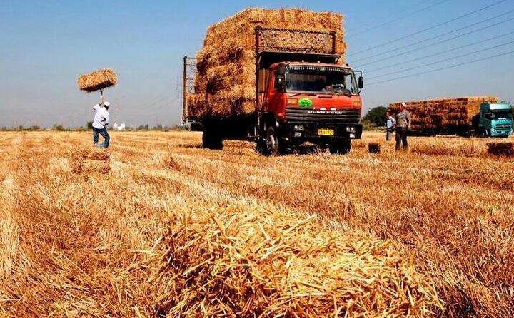 秸稈發(fā)電,清潔能源,生物質燃料 秸稈發(fā)電,清潔能源,生物質燃料