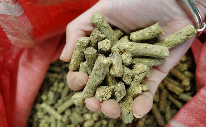 “小秸稈變身大能源?！痹擁?xiàng)目投資方負(fù)責(zé)人說(shuō)，以往分散鍋爐房供熱成本高，供熱質(zhì)量不理想。如今，由生物質(zhì)發(fā)電的余熱供暖，熱效率達(dá)到80%以上，既可緩解煤炭短缺情況，又推動(dòng)清潔供熱，為“碳達(dá)峰”“碳中和”目標(biāo)實(shí)現(xiàn)貢獻(xiàn)力量