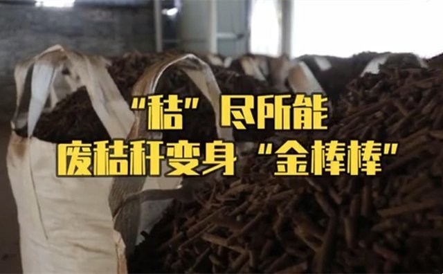 秸稈制粒機(jī)制粒處理