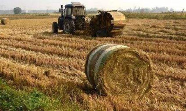 海南農(nóng)作物秸稈