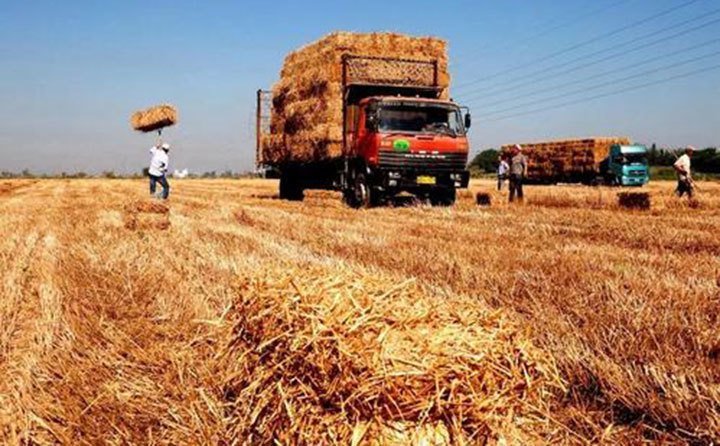 甘肅省秸稈綜合利用試點(diǎn)項(xiàng)目建設(shè)有序推進(jìn)