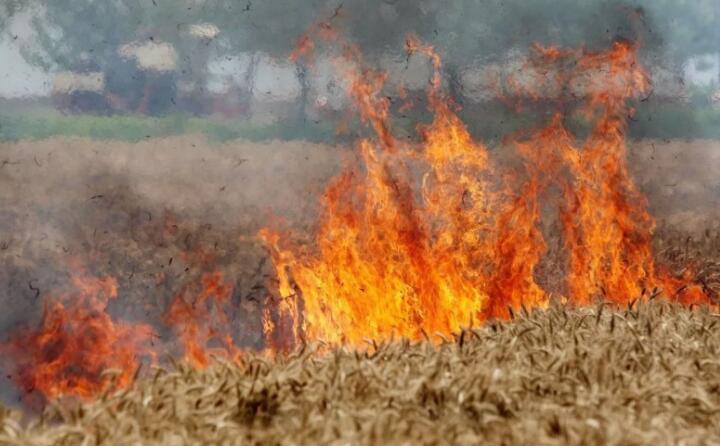 陜西省略陽(yáng)縣白水江鎮(zhèn)2023年秸稈禁燒綜合利用