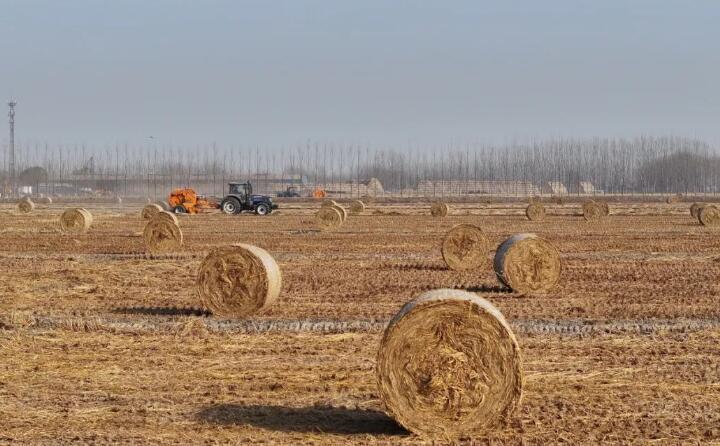 我國(guó)形成秸稈多元利用新格局